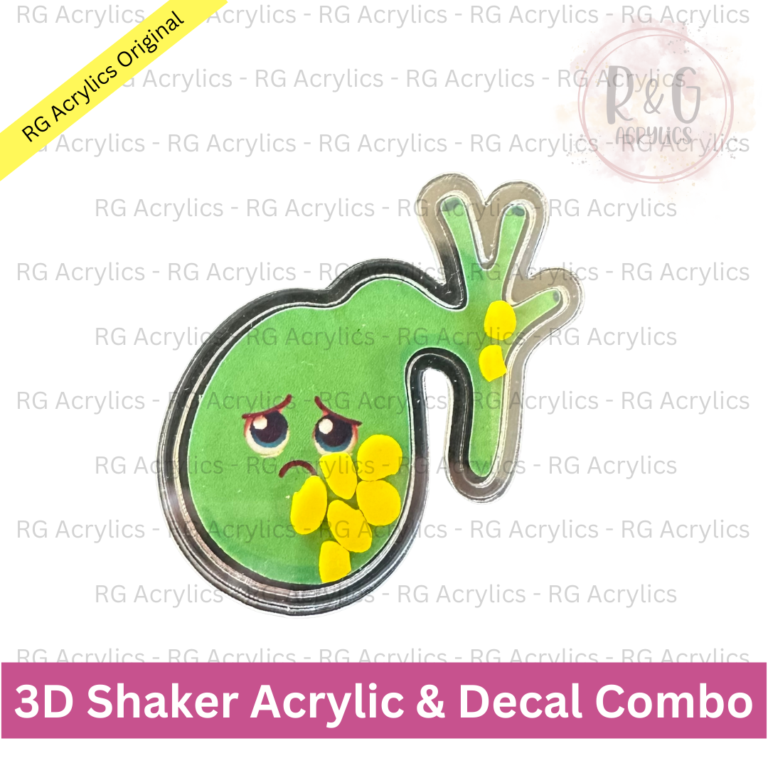 Gallbladder with Gallstones - 3D Shaker Acrylic & Decal COMBO