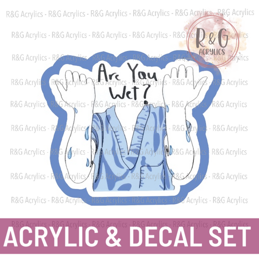 Are You Wet | Acrylic Blank & Vinyl Decal COMBO