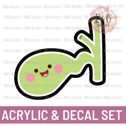 Cute Gallbladder - Acrylic & Decal COMBO