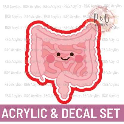 Cute Intestines - Acrylic & Decal COMBO