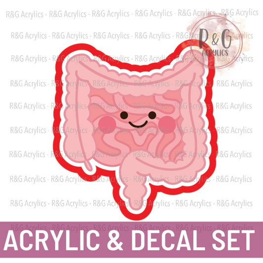 Cute Intestines | Acrylic Blank & Vinyl Decal COMBO