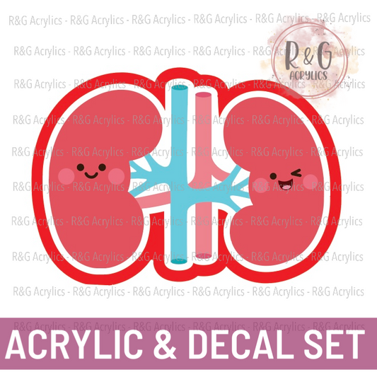 Cute Kidney - Acrylic & Decal COMBO