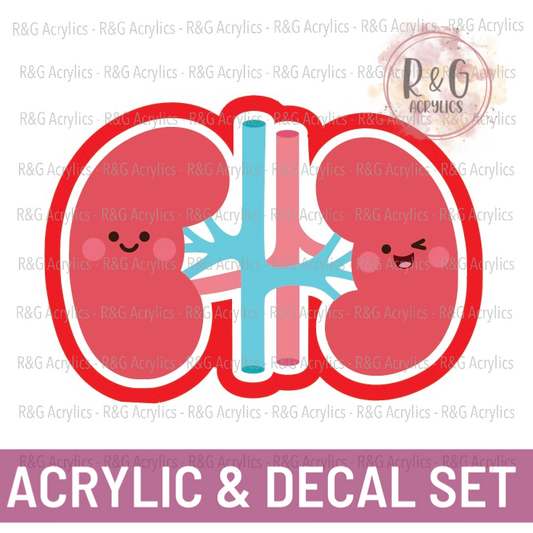 Cute Kidney | Acrylic Blank & Vinyl Decal COMBO