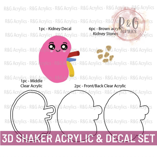 Kidney Stones - 3D Shaker Acrylic & Decal COMBO